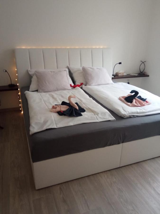 Academic Apartment Брно Екстер'єр фото
